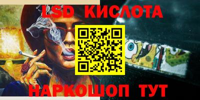 прущие крисы Камышлов