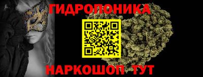 прущие крисы Камышлов
