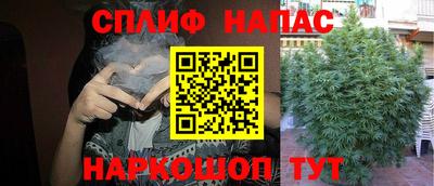 гидра Кандалакша