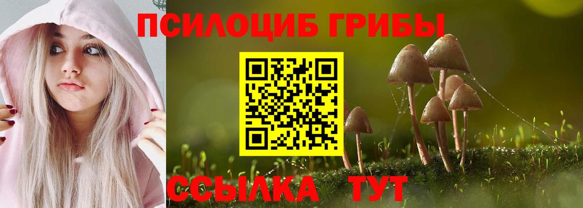 Псилоцибиновые грибы мухоморы  Псилоцибиновые грибы MAGIC MUSHROOMS  наркота  Куйбышев  Вход с VPN 
